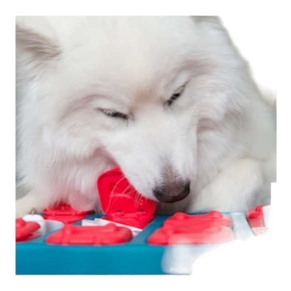 Nina Ottosson Outward Hound Dog Brick Treat Dispensing Puzzle Toy Stimulate - Picture 1 of 8